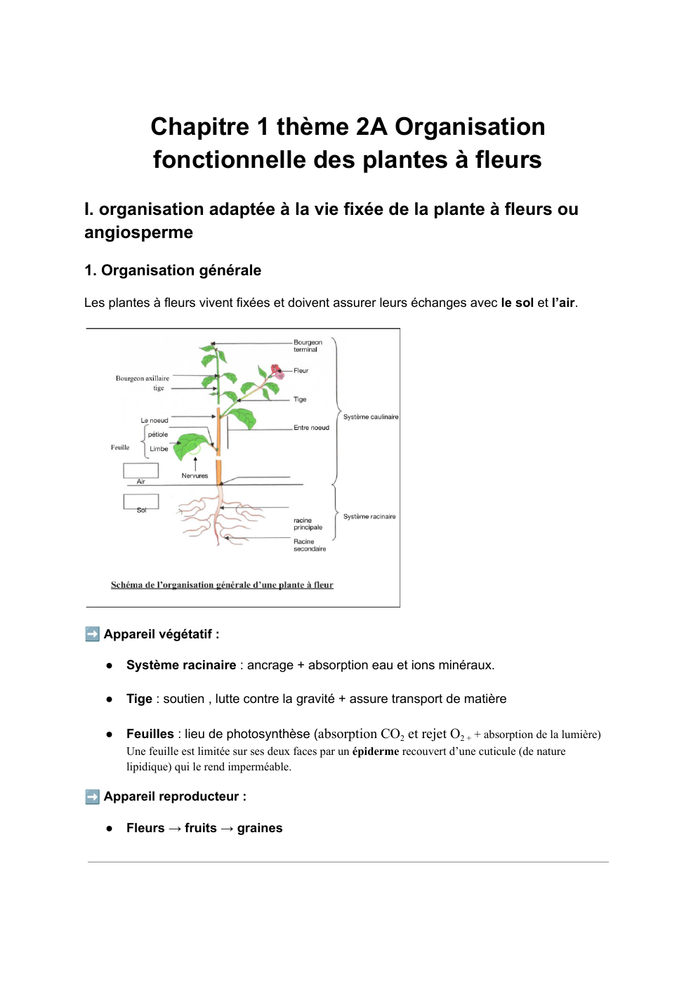 Prévisualisation du document fiche de revision svt Chapitre 1 thème 2A Organisation fonctionnelle des plantes à fleurs