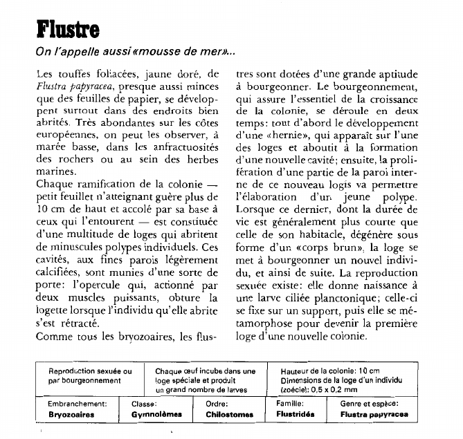 Prévisualisation du document Fluste:On l'appelle aussi «mousse de mer».