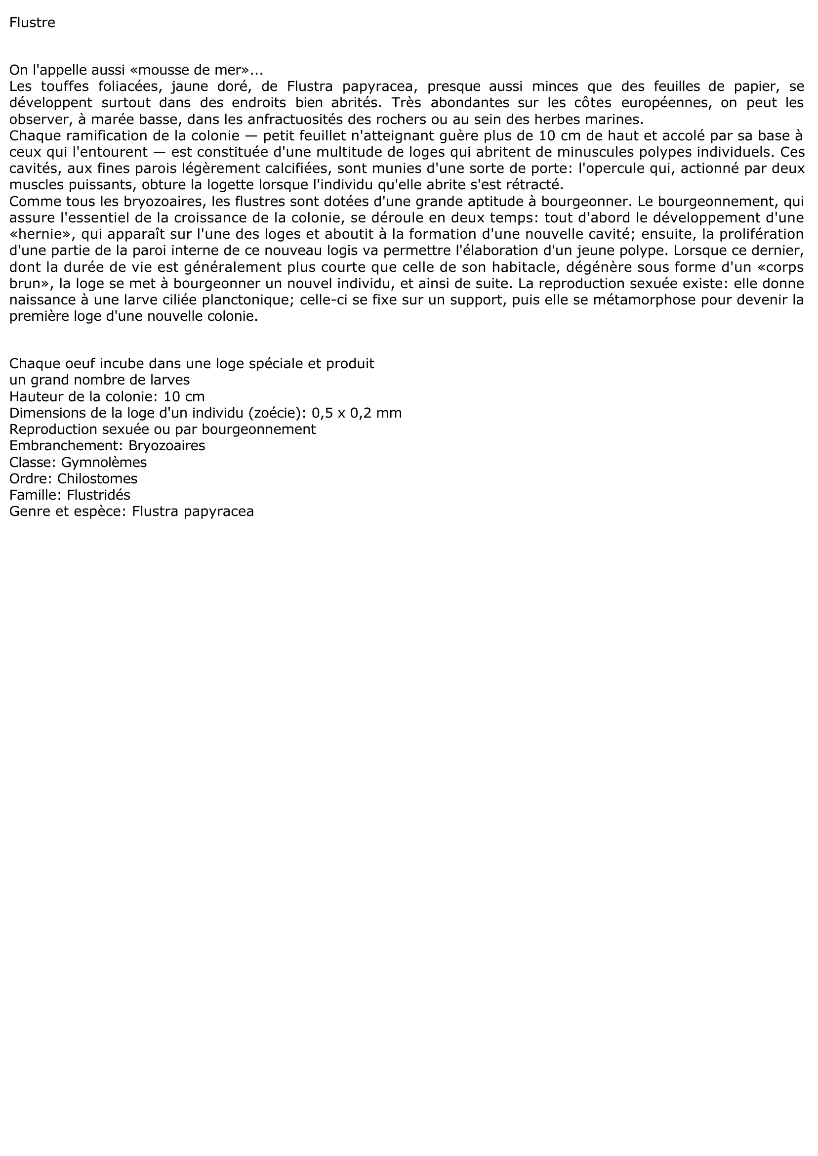Prévisualisation du document Flustre