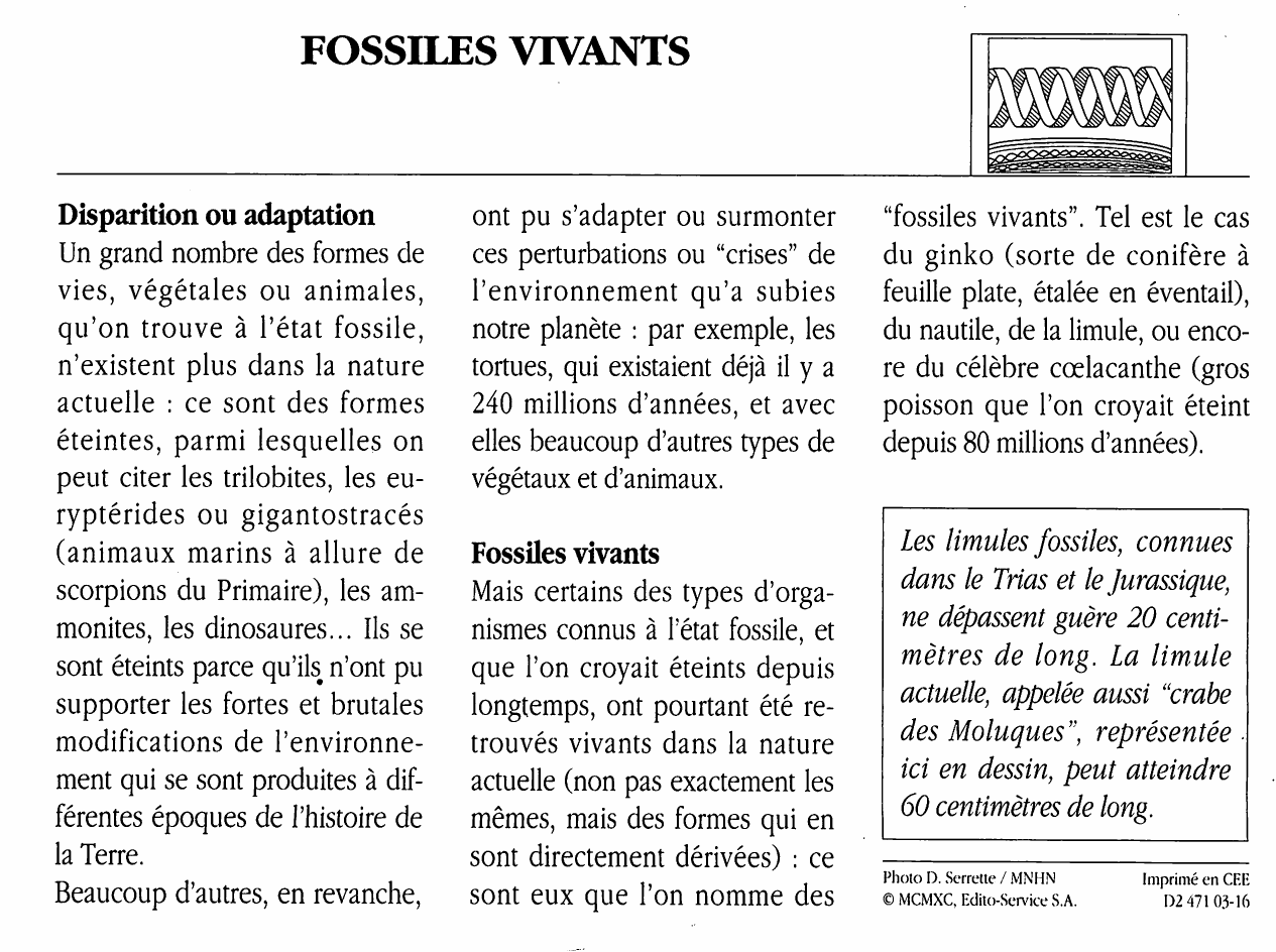 Prévisualisation du document FOSSILES VIVANTS