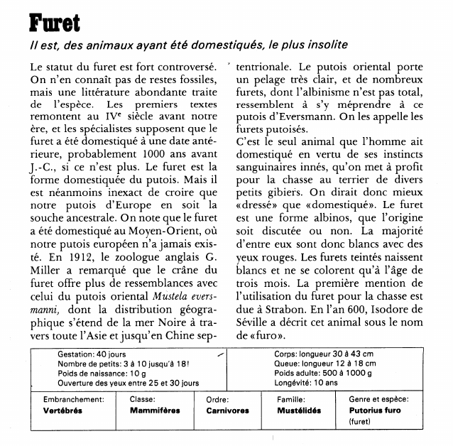 Prévisualisation du document Furet:Il est, des animaux ayant été domestiqués, le plus insolite.