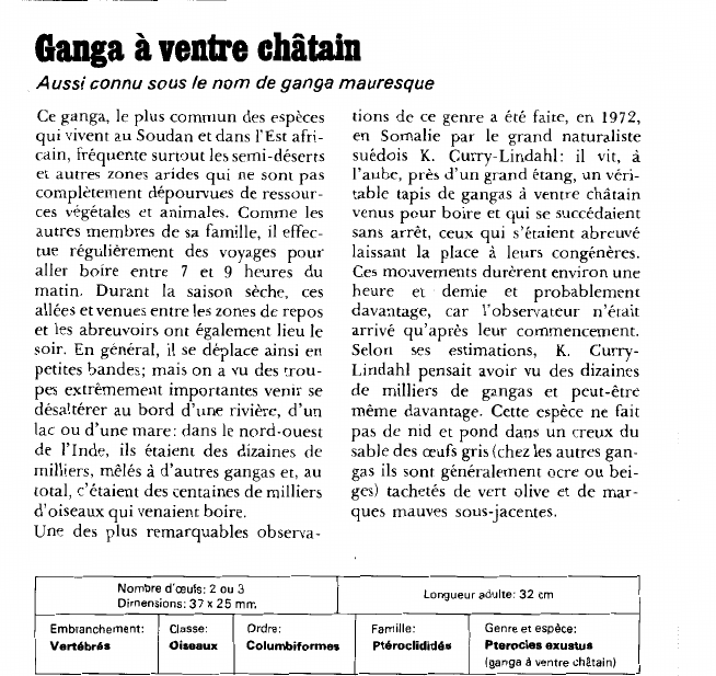 Prévisualisation du document Ganga à vente châtain:Aussi connu sous le nom de ganga mauresque.