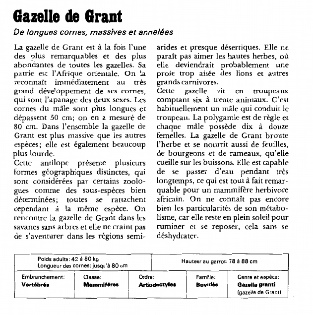 Prévisualisation du document Gazelle de Grant:De longues cornes, massives et annelées.