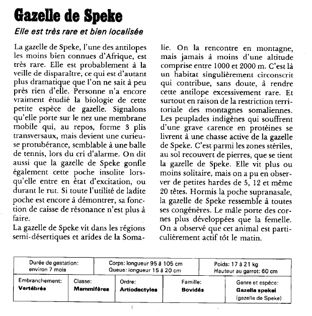 Prévisualisation du document Gazelle de Speke:Elle est très rare et bien localisée.