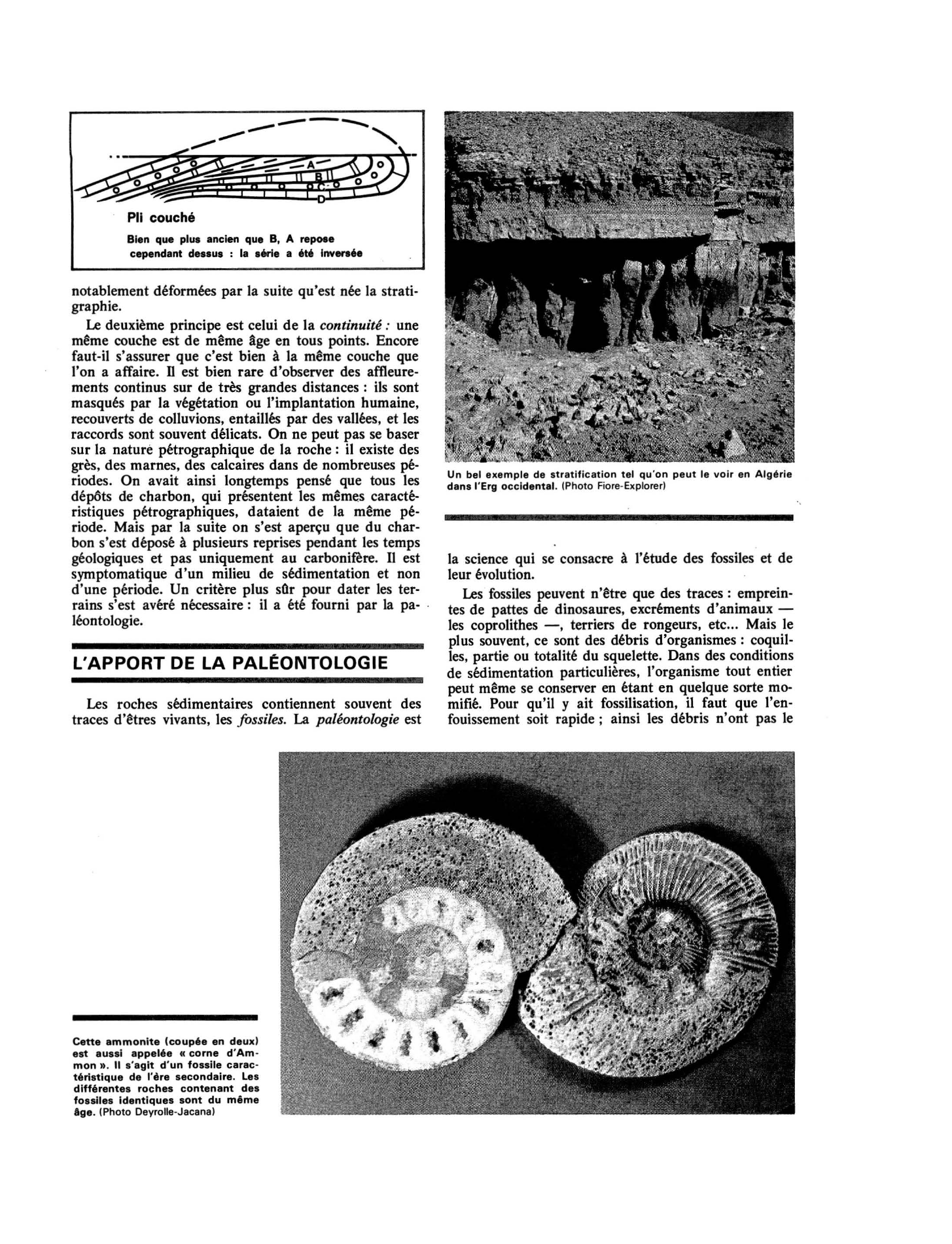 Prévisualisation du document GÉOLOGIE La stratigraphie et ses méthodes
