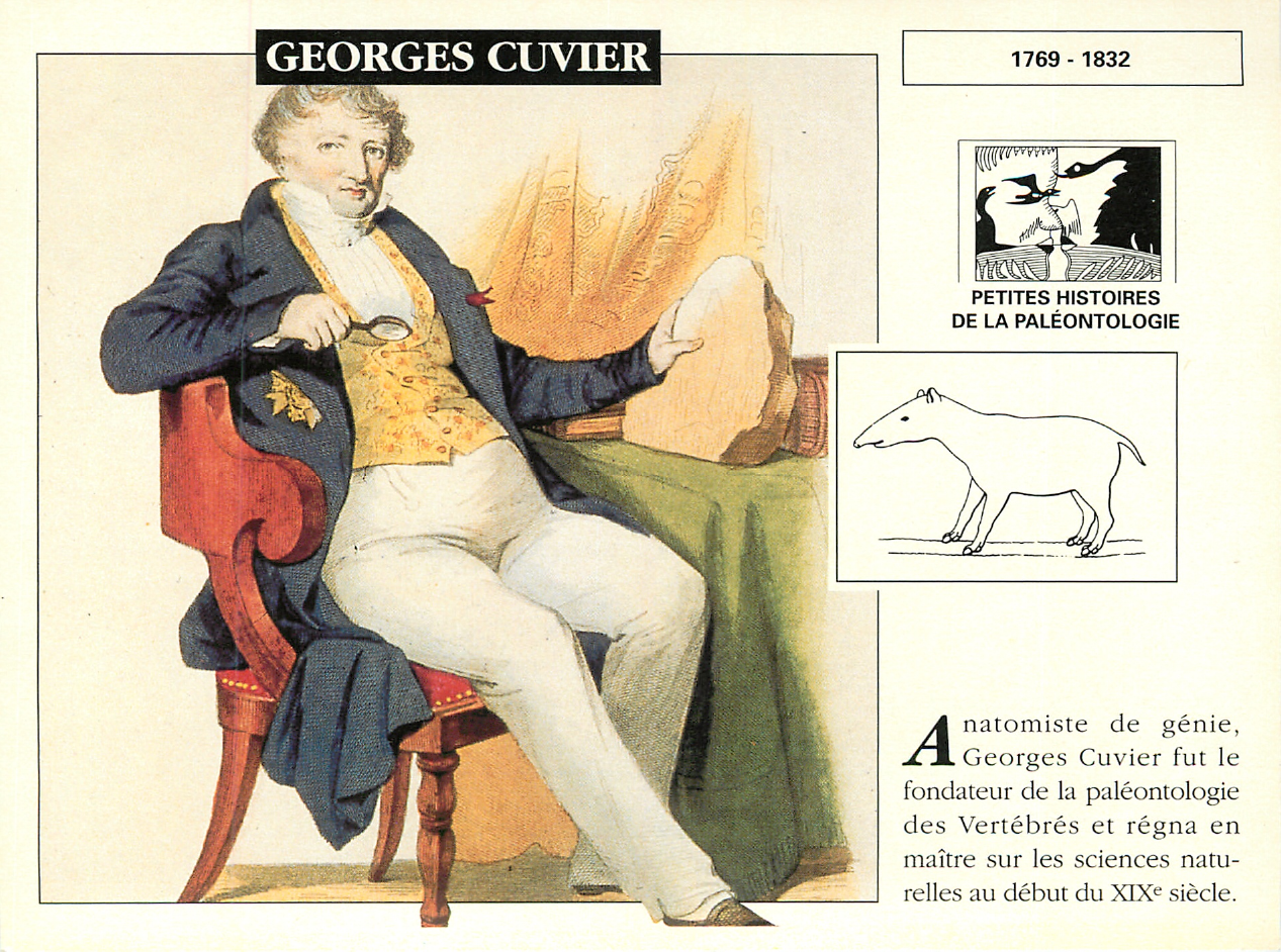 Prévisualisation du document GEORGES CUVIER