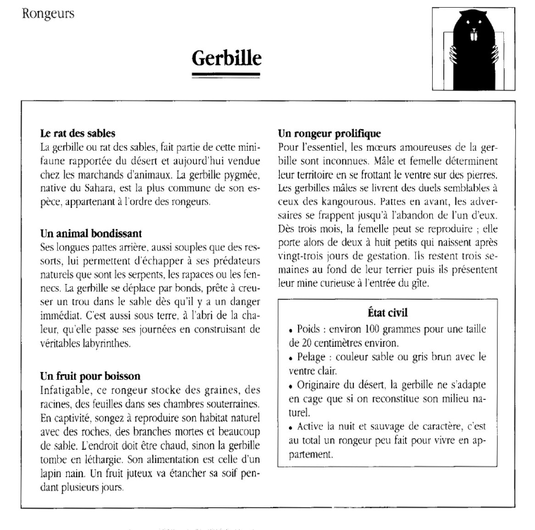 Prévisualisation du document Gerbille.