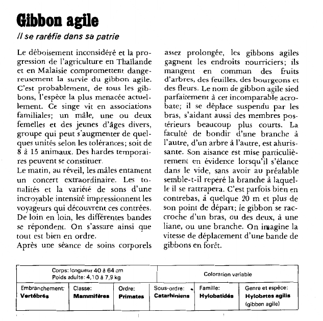Prévisualisation du document Gibbon agile:Il se raréfie dans sa patrie.