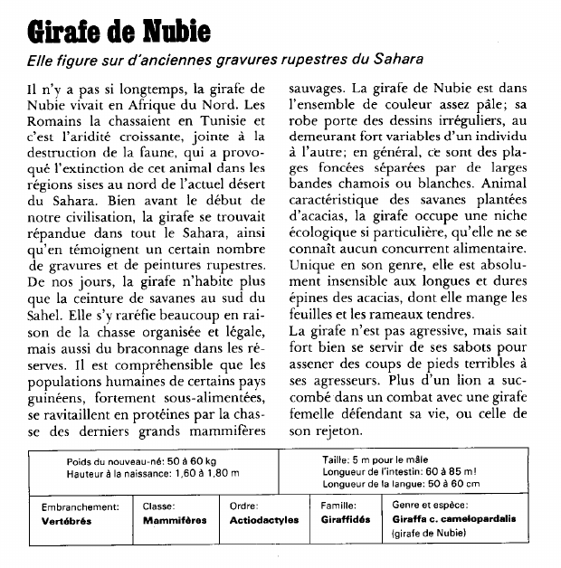 Prévisualisation du document Girafe de Nubie:Elle figure sur d'anciennes gravures rupestres du Sahara.