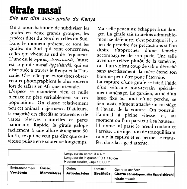 Prévisualisation du document Girafe masa:Elle est dite aussi girafe du Kenya.