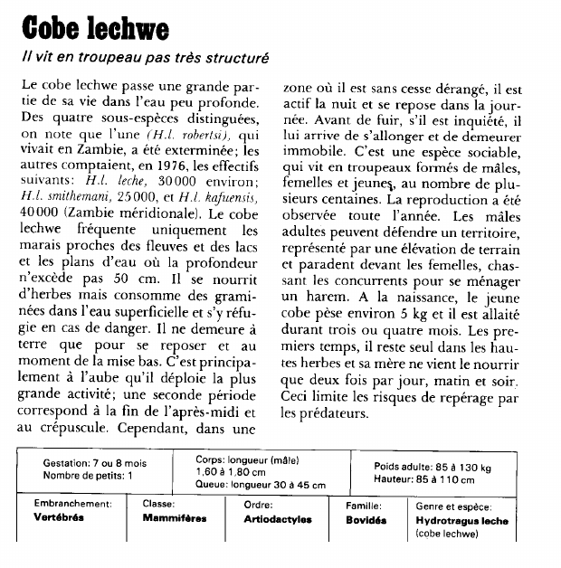 Prévisualisation du document Gobe lechwe:fi vit en troupeau pas très structuré.