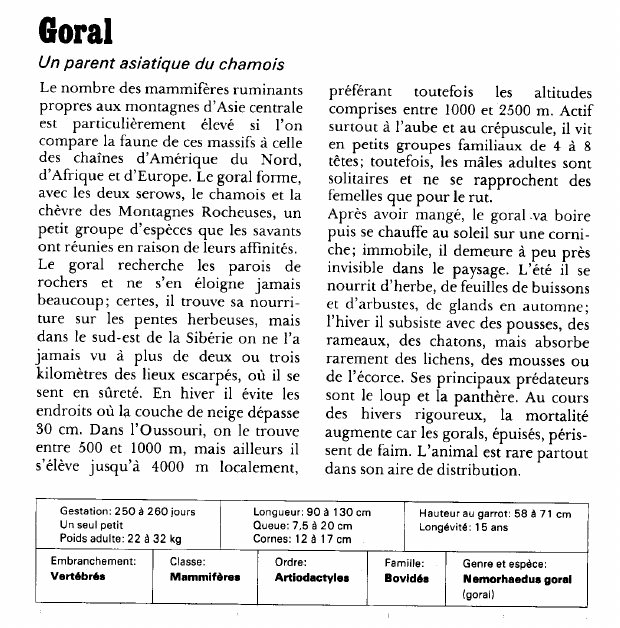 Prévisualisation du document Goral:Un parent asiatique du chamois.