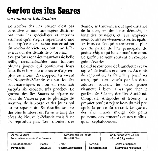 Prévisualisation du document Gorfou des îles Snares:Un manchot très localisé.