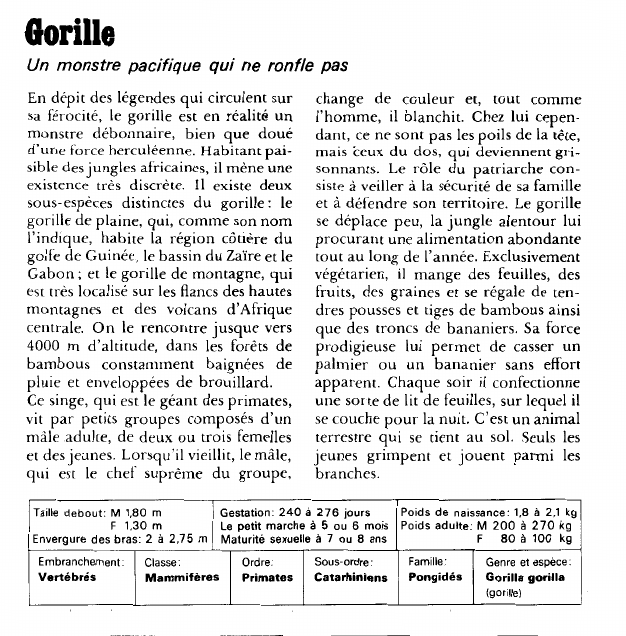 Prévisualisation du document Gorille:Un monstre pacifique qui ne ronfle pas.