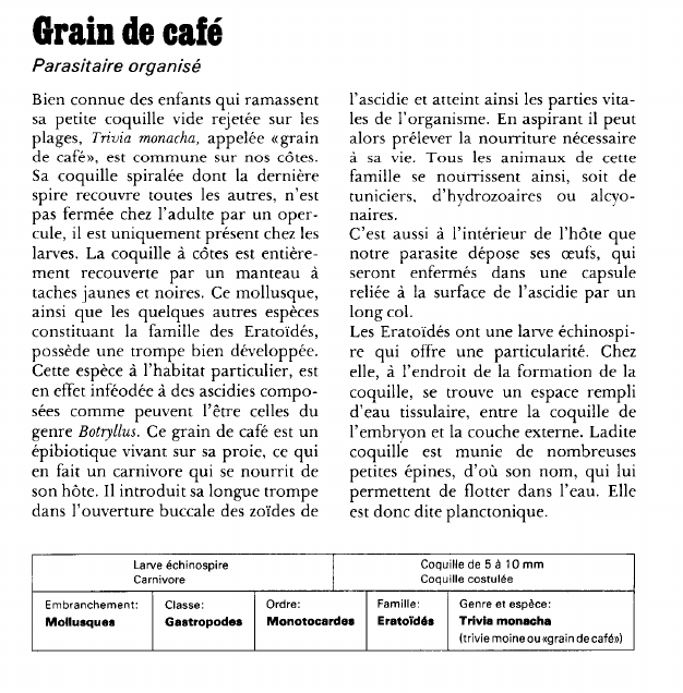 Prévisualisation du document Grain de café:Parasitaire organisé.