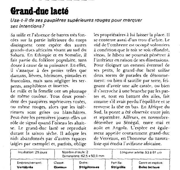 Prévisualisation du document Grand-duc lacté:Use-t-il de ses paupières supérieures rouges pour marquer ses intentions?