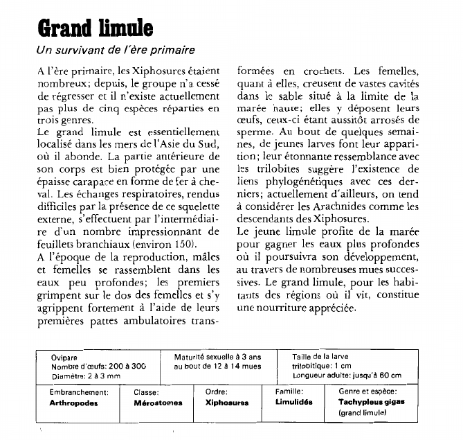 Prévisualisation du document Grand limule:Un survivant de l'ère primaire.