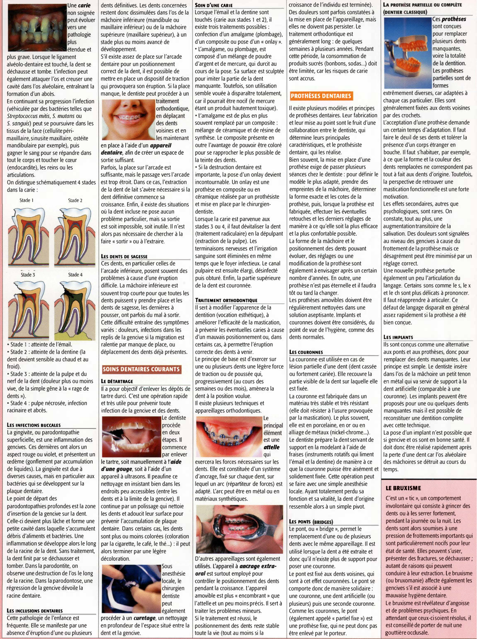 Prévisualisation du document Grand oral du bac : La médecine dentaire