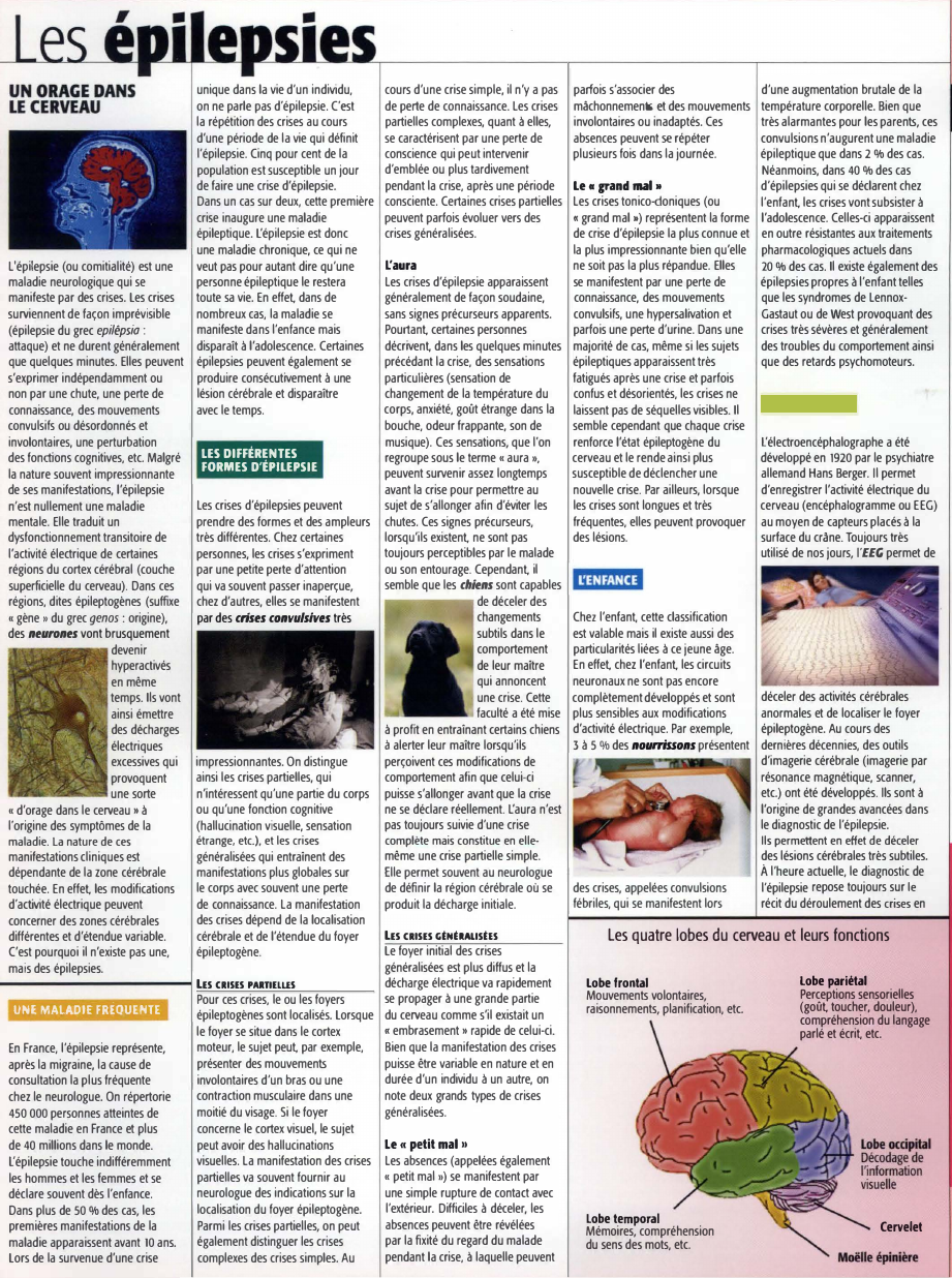 Prévisualisation du document Grand oral du bac : L'épilepsie (Histoire de la médecine)