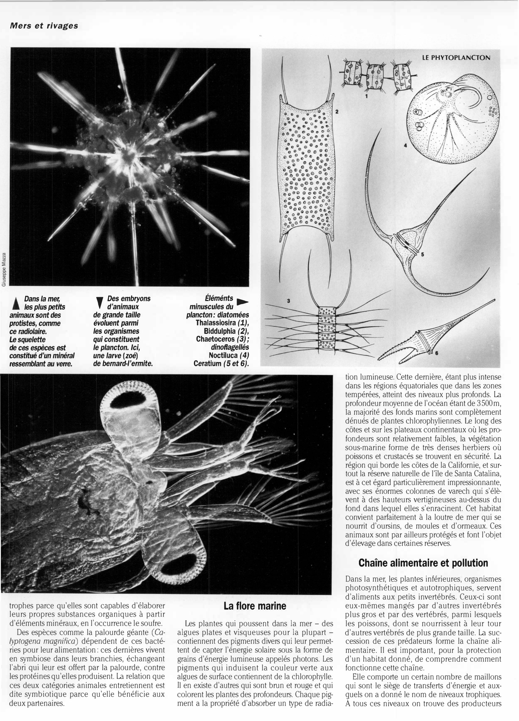 Prévisualisation du document Grand oral du bac : MERS ET RIVAGES