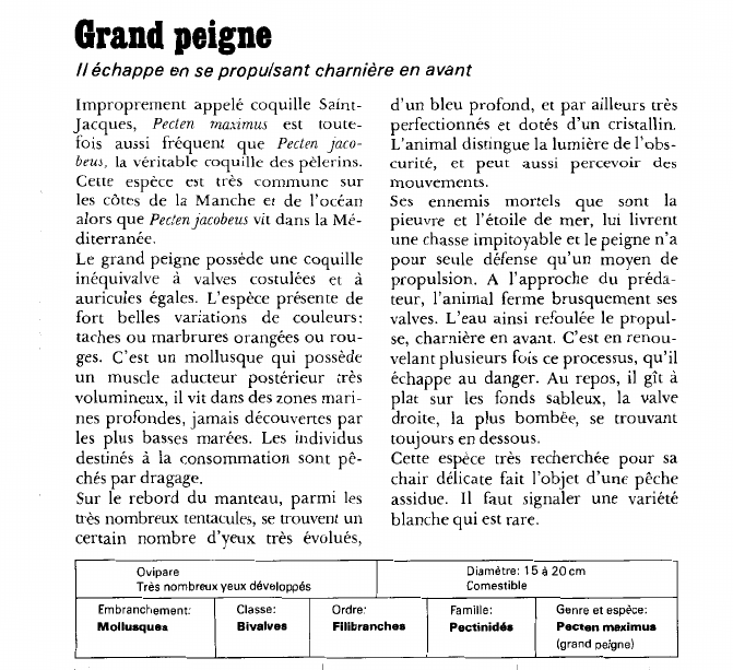 Prévisualisation du document Grand peigneIl échappe en se propulsant charnière en avant.