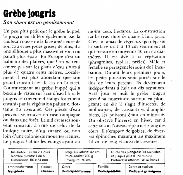 Prévisualisation du document Grèbe jougris:Son chant est un gémissement.