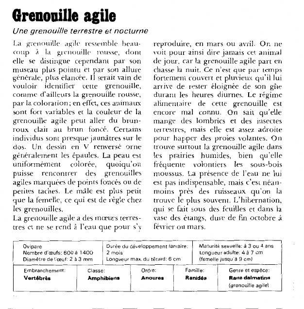 Prévisualisation du document Grenouille agile:Une grenouille terrestre et nocturne.