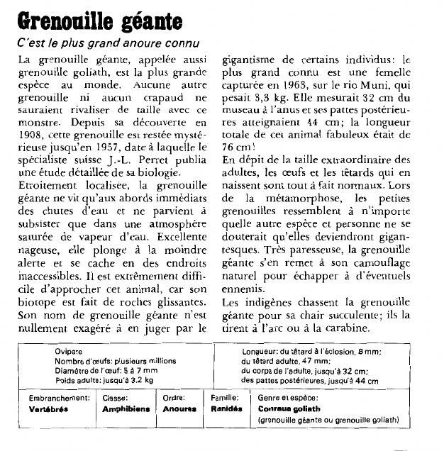 Prévisualisation du document Grenouille géante:C'est le plus grand anoure connu.