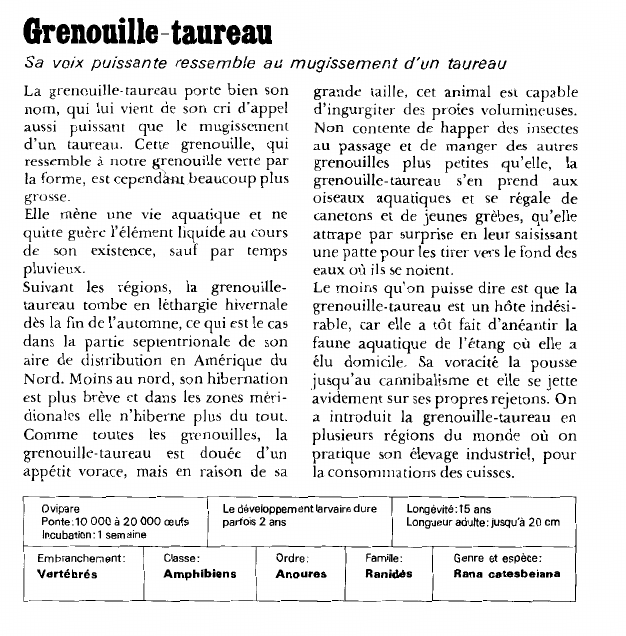 Prévisualisation du document Grenouille-taureau:Sa voix puissante ressemble au mugissement d'un taureau.