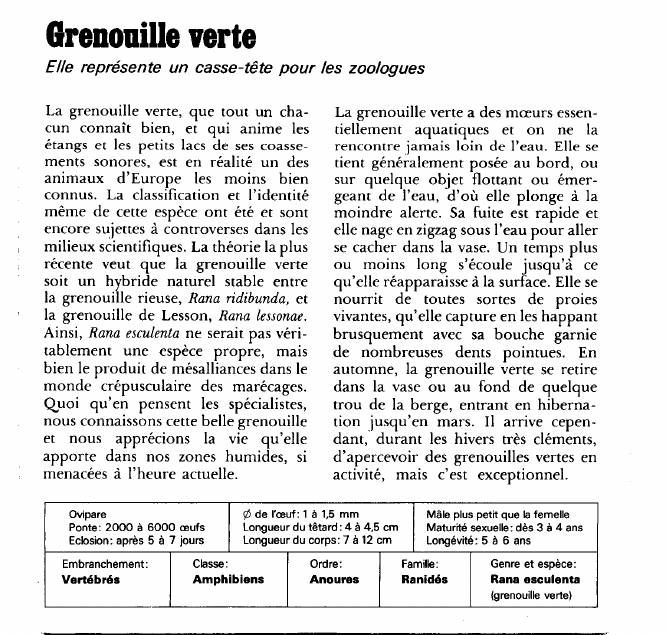 Prévisualisation du document Grenouille verte:Elle représente un casse-tête pour les zoologues.