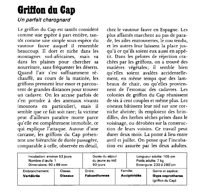 Prévisualisation du document Grillon du Cap:Un parfait charognard.