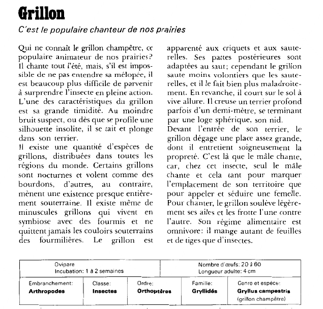 Prévisualisation du document Grillon:C'est le populaire chanteur de nos prairies.