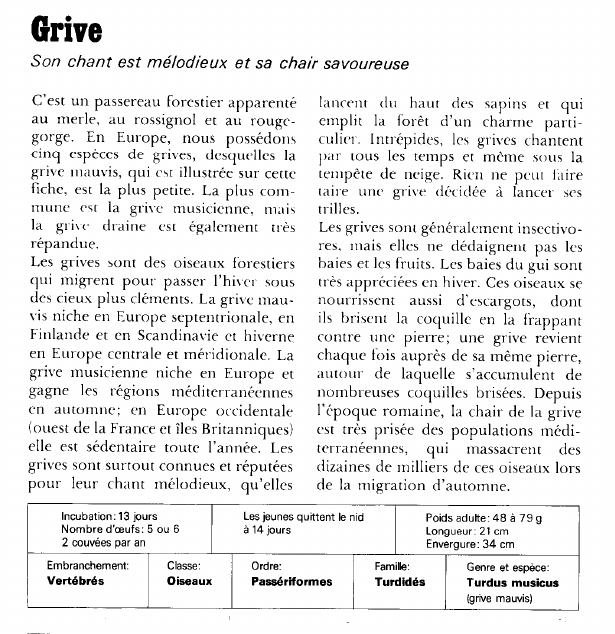 Prévisualisation du document Grive:Son chant est mélodieux et sa chair savoureuse.