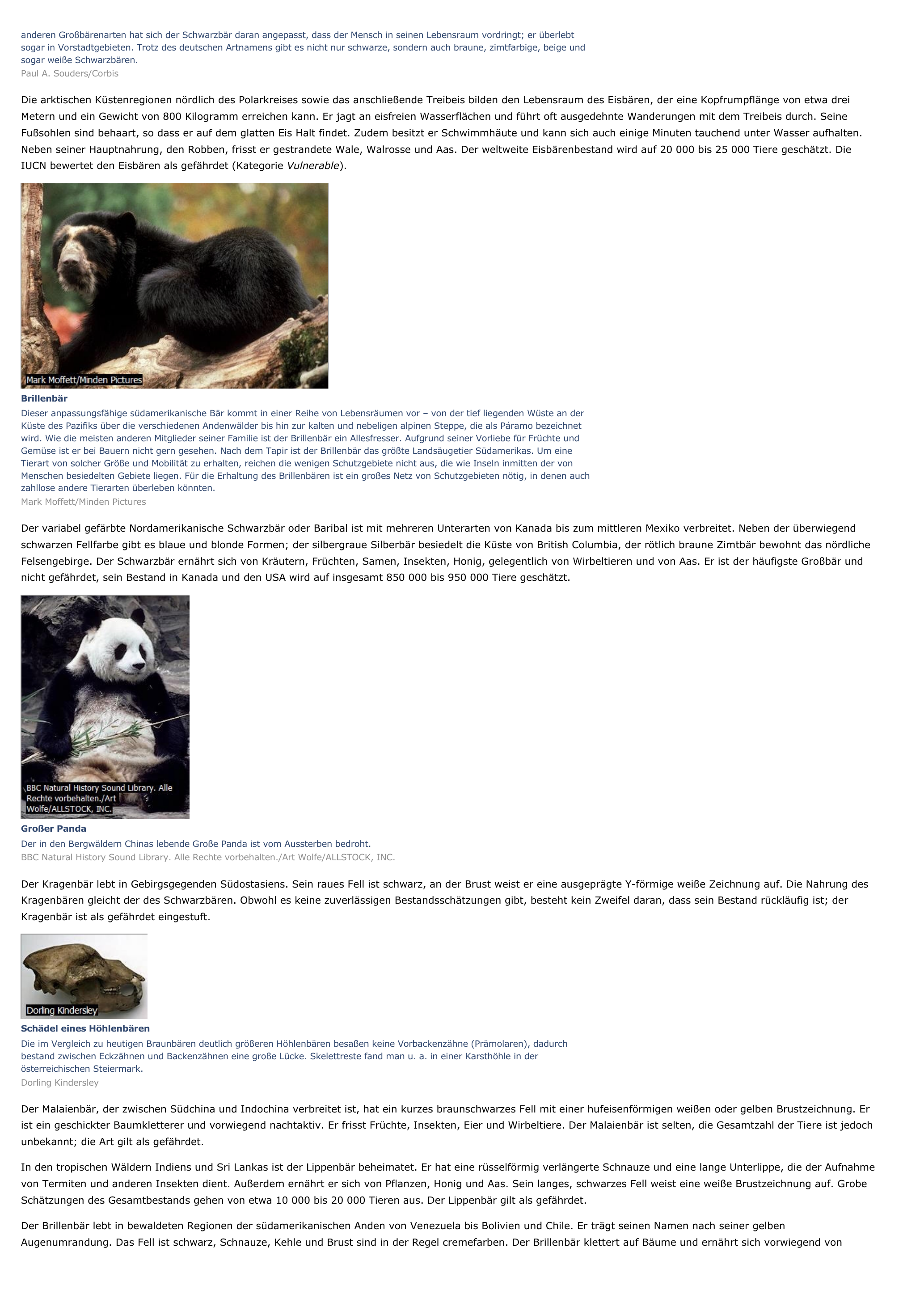 Prévisualisation du document Großbären - biologie.