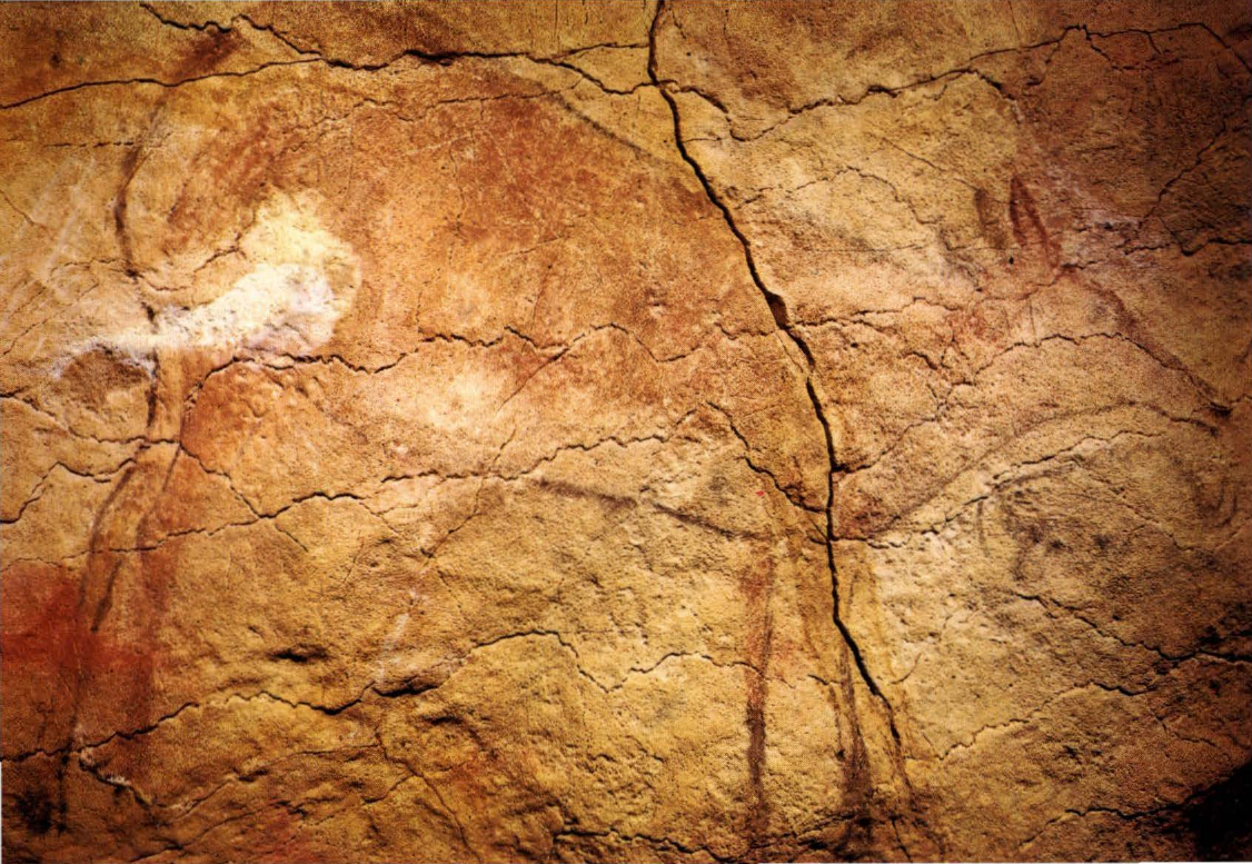 Prévisualisation du document Grotte d'ALTAMIRA:
Grande Biche (analyse du tableau).