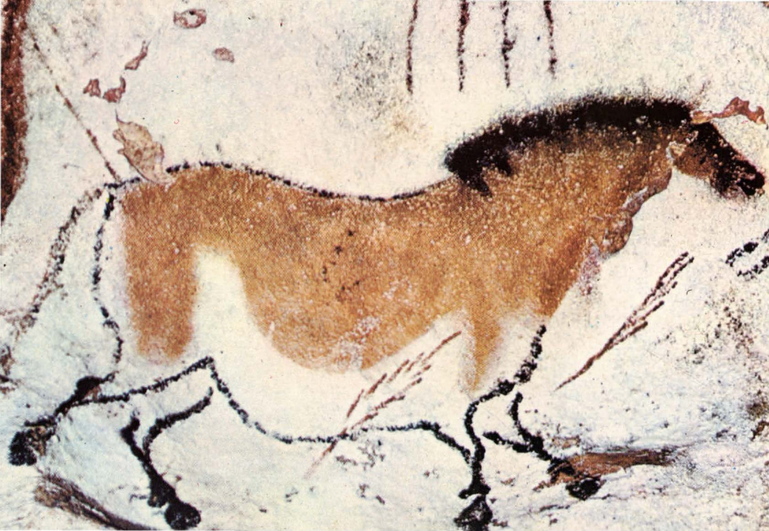 Prévisualisation du document Grotte de LASCAUX
(Dordogne):
Le Cheval « chinois » (analyse du tableau).