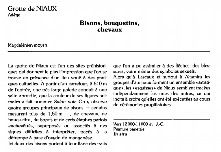 Prévisualisation du document Grotte de NIAUXAriège:Bisons, bouquetins,chevaux (analyse du tableau).