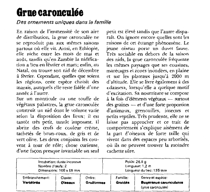 Prévisualisation du document Grue caronculéeDes ornements uniques dans la famille.