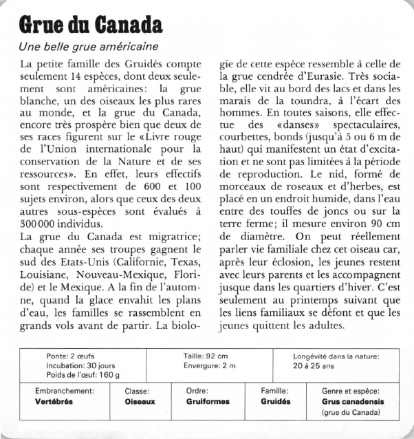 Prévisualisation du document Grue du Canada:Une belle grue américaine.