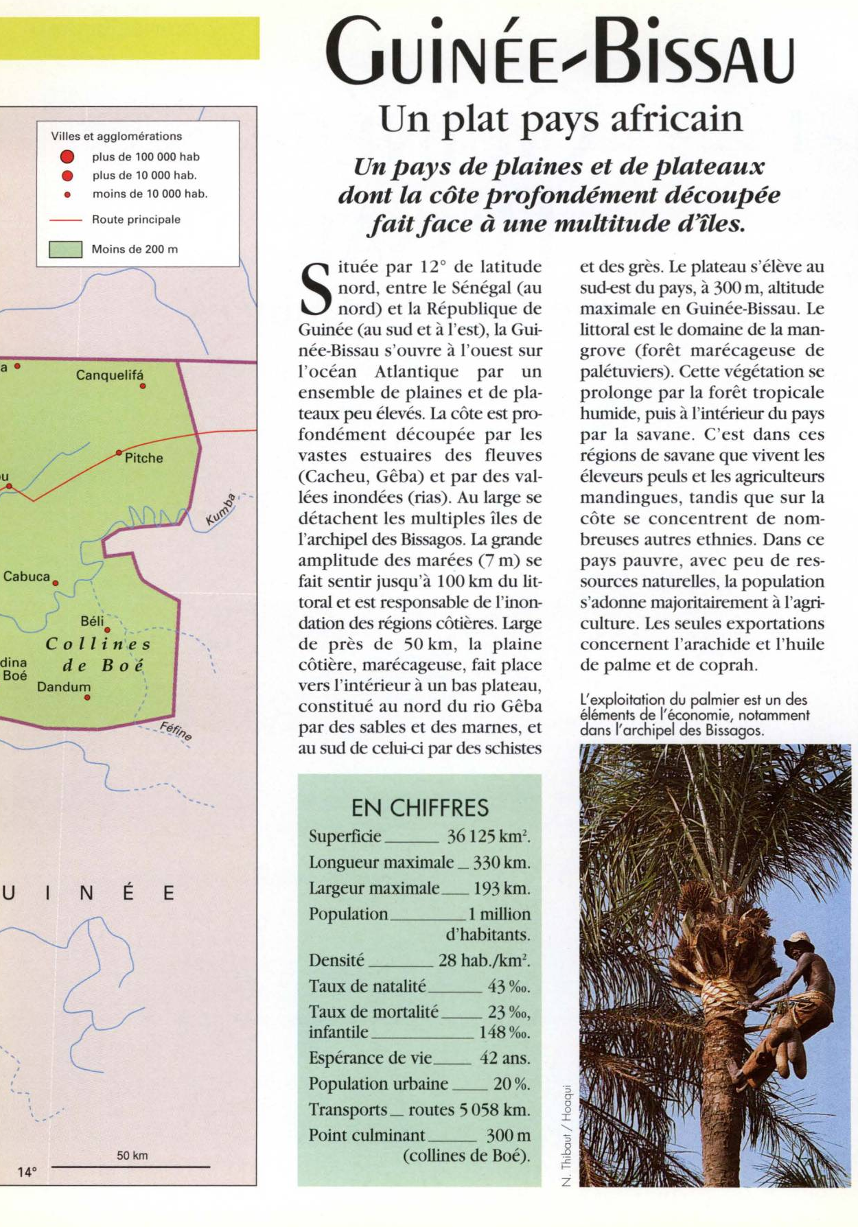 Prévisualisation du document GuiNÉE-BissAu : L'une des trois Guinées