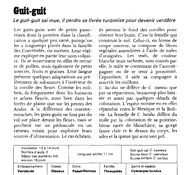 Prévisualisation du document Guit-guit.