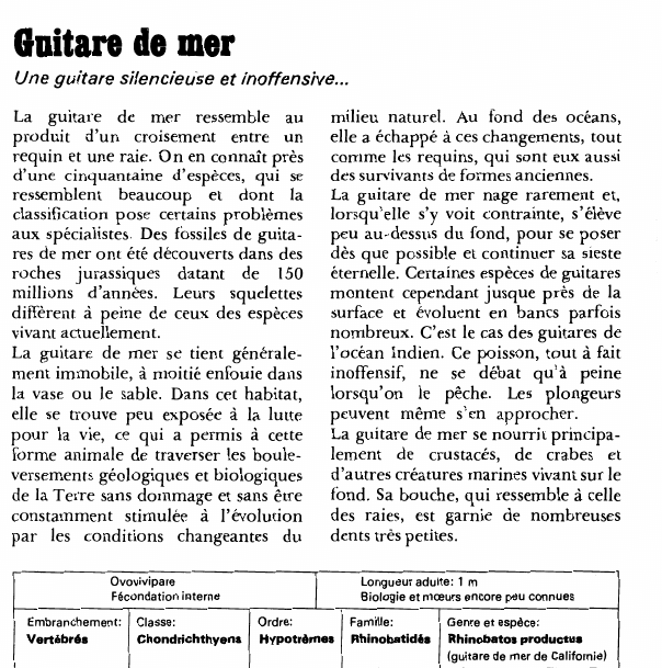 Prévisualisation du document Guitare de mer:Une guitare silencieuse et inoffensive.