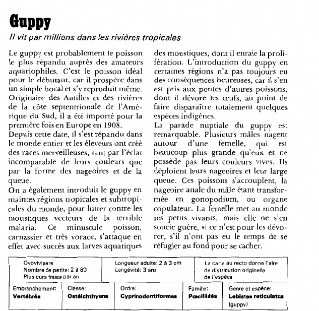 Prévisualisation du document GUPPYIl vit par millions dans les rivières tropicales.