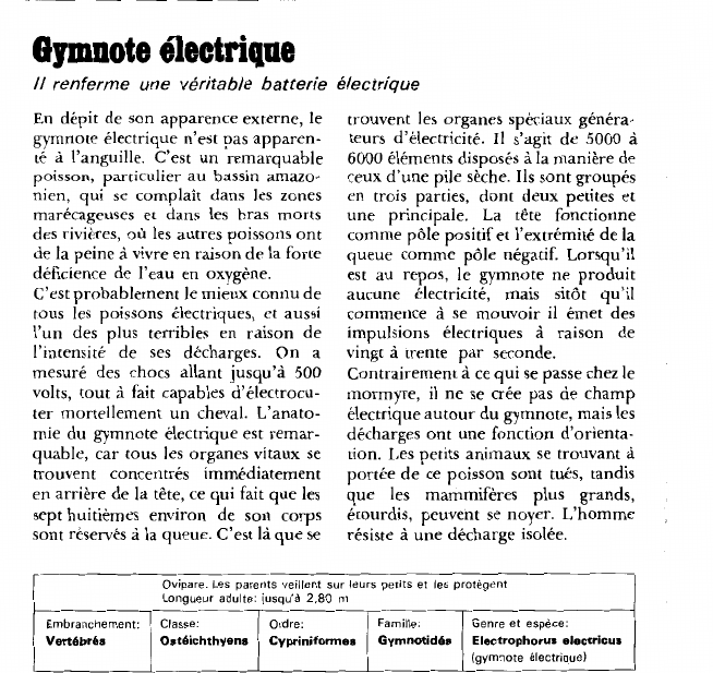 Prévisualisation du document Gymnote électrique:11 renferme une véritable batterie électrique.