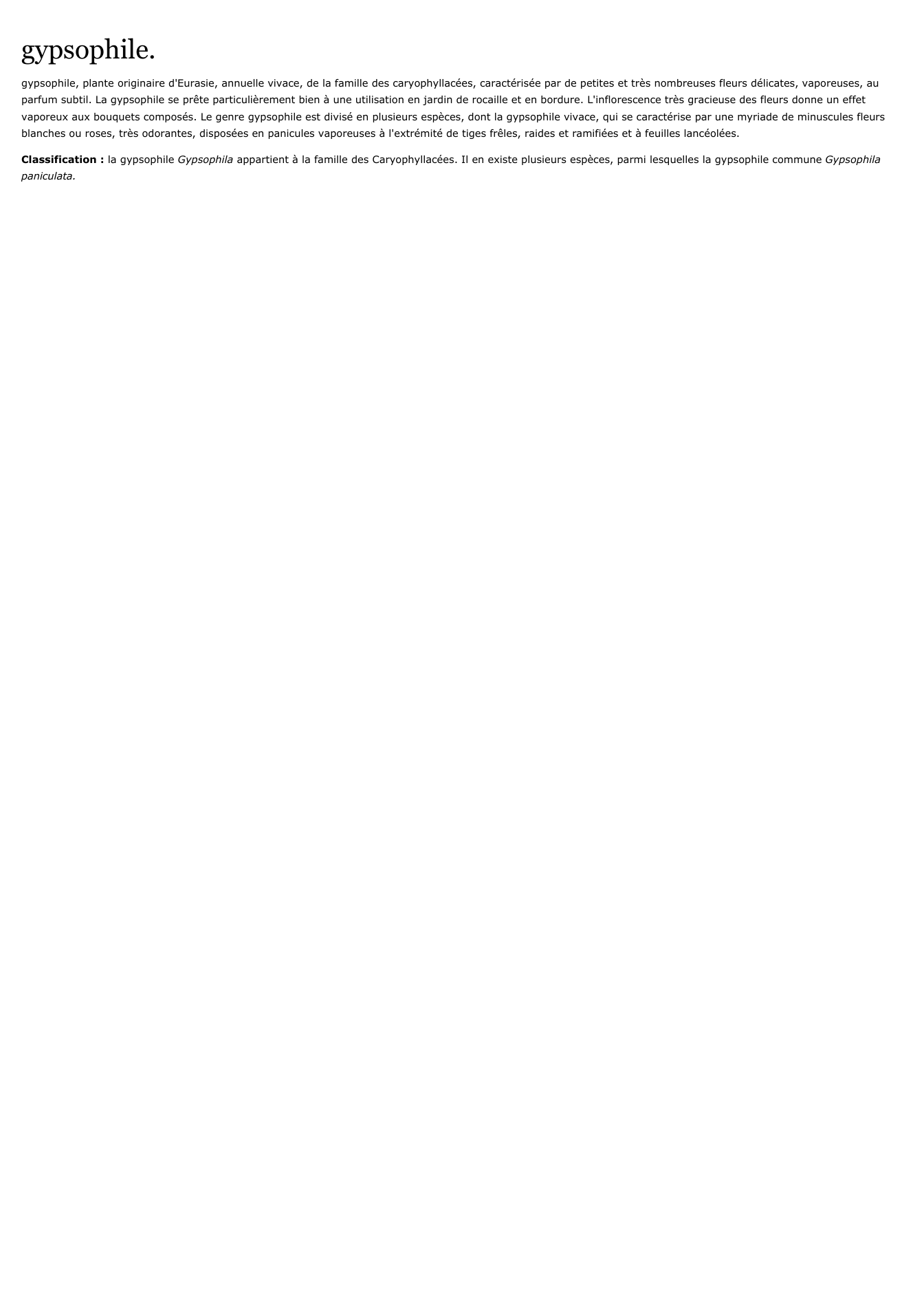 Prévisualisation du document gypsophile.