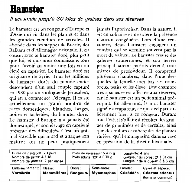 Prévisualisation du document Hamster:Il accumule jusqu'à 30 kilos de graines dans ses réserves.