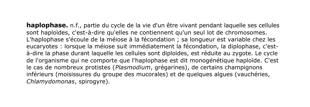 Prévisualisation du document haplophase.