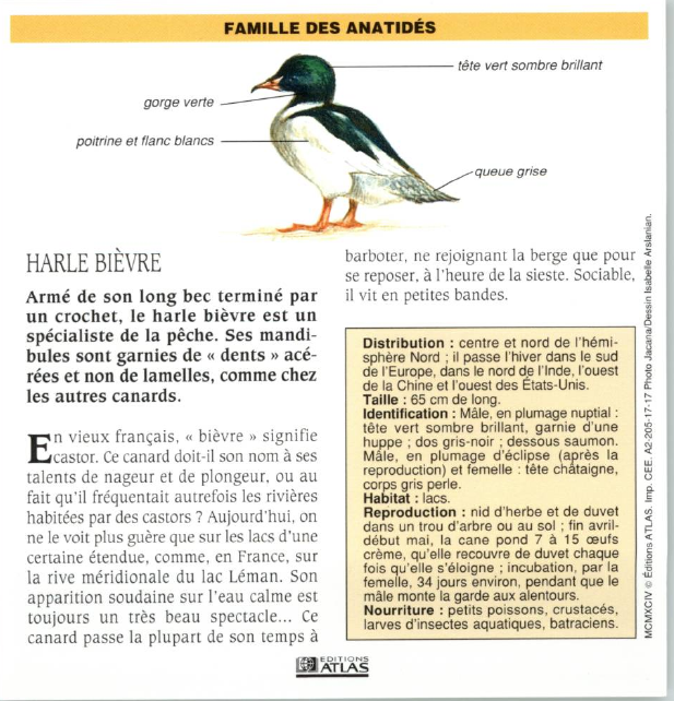 Prévisualisation du document HARLE BIÈVRE