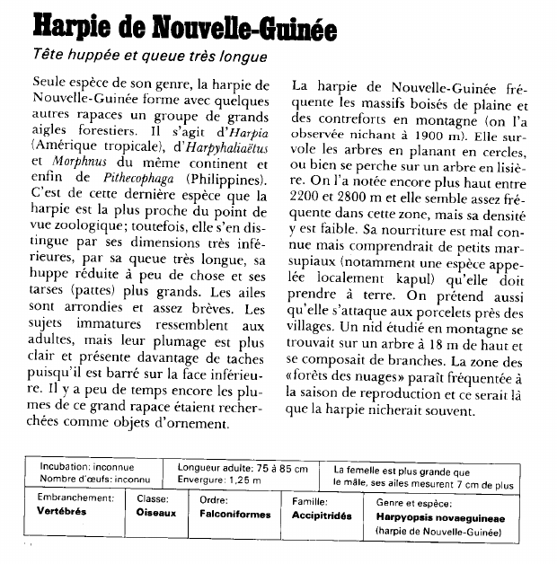 Prévisualisation du document Harpie de Nouvelle-Guinée:Tête huppée et queue très longue.