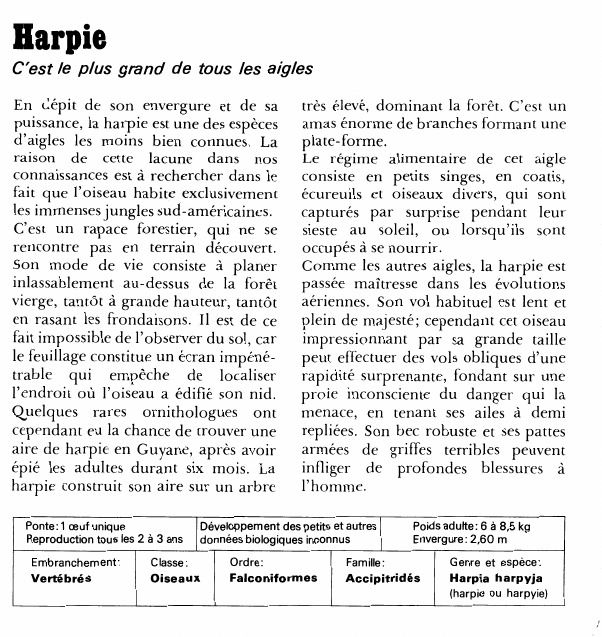 Prévisualisation du document HarpieC'est le plus grand de tous les aiglesEn crépit de son envergure et de sa puissance, la harpie est une des espèces d'aigles les moins bien connues.